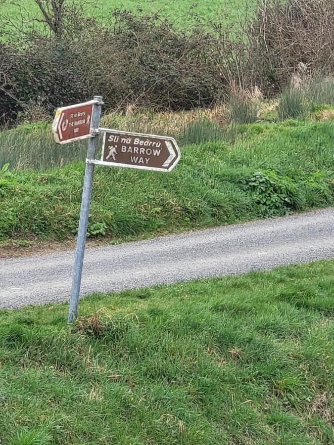 Fearmore View Kildare Esterno foto