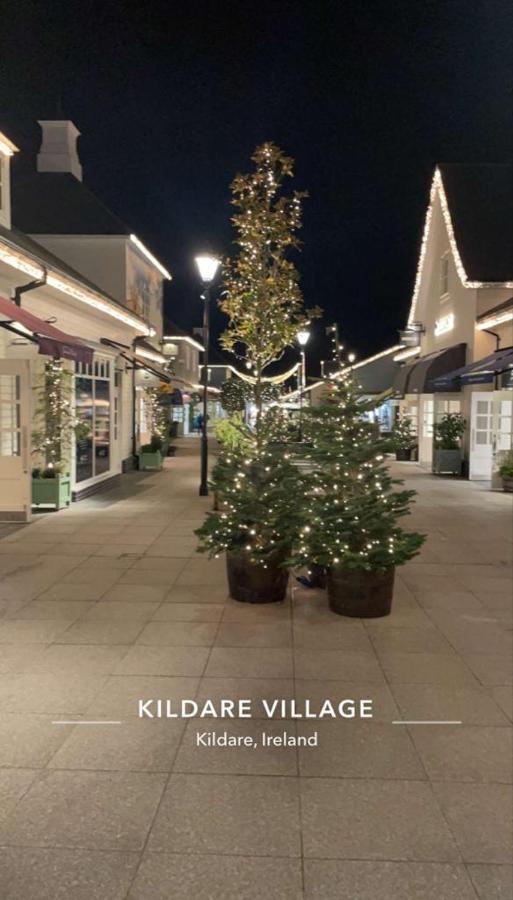 Fearmore View Kildare Esterno foto