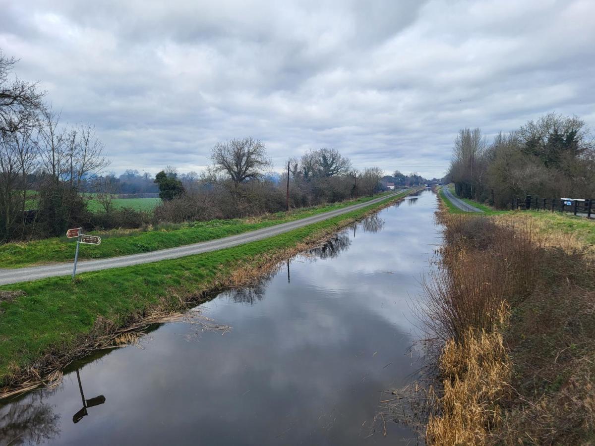 Fearmore View Kildare Esterno foto